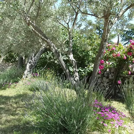 L'escoussou 110m2, 3etoiles, 3ch, Charme, Nature, Piscine Chauffee, Sud Ardeche Apartment Joyeuse